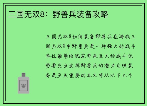 三国无双8：野兽兵装备攻略
