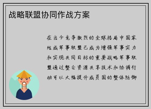 战略联盟协同作战方案